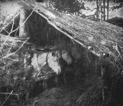 'Le front pittoresque; Villages de Paillot et Terriers a flanc de coteaux: Une ecurie', 1914. Creator: Unknown.