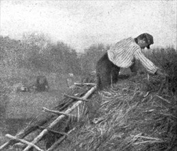 'Le front pittoresque; Villages de Paillot et Terriers a flanc de coteaux: Un "couvreur"', 1914. Creator: Unknown.