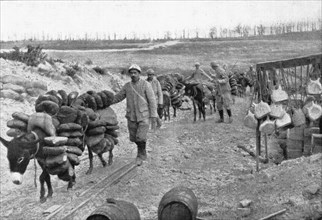 'Les Bourriquots de ravitaillement; dans le region de Verdun, les bourriquots, conduits par..., 1916 Creator: Unknown.