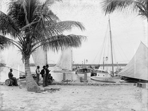Landing at Palm Beach, between 1880 and 1897. Creator: William H. Jackson.