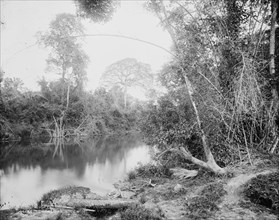 Temasopa (i.e. Tamasopo) River, between 1880 and 1897. Creator: William H. Jackson.