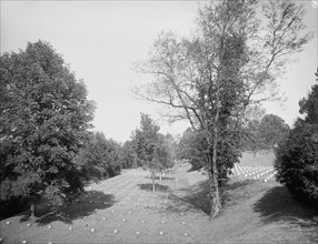 Vicksburg National Cemetery, terraces, between 1880 and 1897. Creator: William H. Jackson.