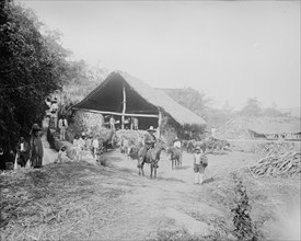 Sugar mill at Temasopa [sic], between 1880 and 1897. Creator: William H. Jackson.
