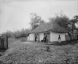 Proprietor's home at Taninul, between 1880 and 1897. Creator: William H. Jackson.