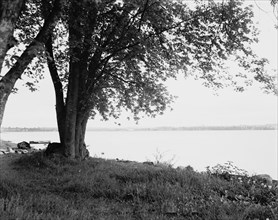 Celeron (i.e. Celoron) from Greenhurst, Lake Chautauqua, between 1880 and 1897. Creator: William H. Jackson.