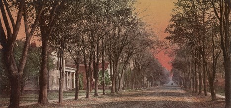 Elizabeth Street, Dansville, N.Y., ca 1900. Creator: Unknown.