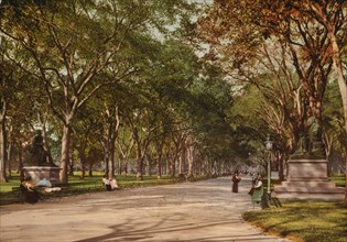 Lower end of mall, Central Park, New York, c1901. Creator: Unknown.