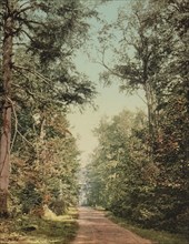 The Drive on Presque Isle [Park], Lake Superior, c1898. Creator: Unknown.