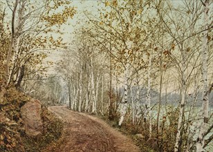 A Northern autumn, c1898. Creator: Unknown.