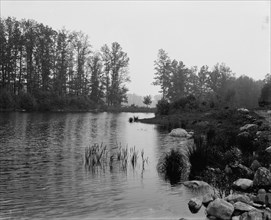 Howell's Lakes, N.J., upper lake, between 1900 and 1906. Creator: Unknown.