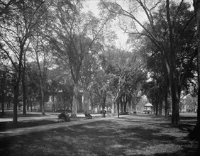City Green, New Haven, between 1900 and 1906. Creator: Unknown.