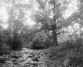 West River at Westville, New Haven, between 1900 and 1906. Creator: Unknown.