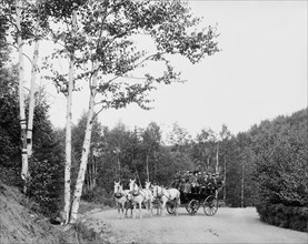 Coaching party on Boulevard Drive, Duluth, Minn., between 1900 and 1906. Creator: Unknown.