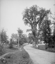 Street in Alton Bay, Lake Winnipesaukee, N.H., A, c1906. Creator: Unknown.
