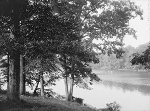 Along the Bronx River, Bronx Park, New York, c1906. Creator: Unknown.