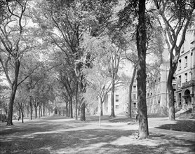 Front campus, Brown University, Providence, R.I., c1906. Creator: Unknown.