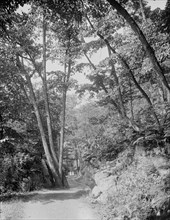 Split Rock Road, Ethan Allen Park, Burlington, Vt., between 1900 and 1920. Creator: Unknown.