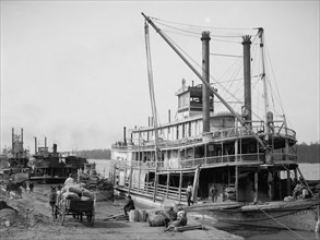 The Levee, Vicksburg, Miss., between 1900 and 1920. Creator: Unknown.
