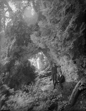 Fairy Arch, Mackinac Island, Mich., c1906. Creator: Unknown.