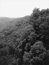 Mountainside with trees, between 1900 and 1920. Creator: Unknown.