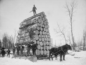 Logging a big load, between 1880 and 1899. Creator: Unknown.