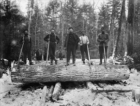 The Loggers, between 1880 and 1899. Creator: Unknown.