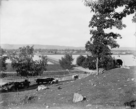 Winona from bluffs west of city, between 1880 and 1899. Creator: Unknown.