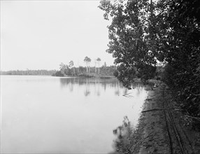 White Bass Lake near Gordon's, Wis., c1898. Creator: Unknown.