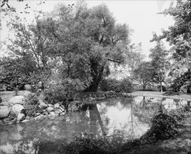 View in grounds of J.H. Wade [Park], Euclid Ave., Cleveland, ca 1900. Creator: William H. Jackson.