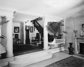 Reception hall, four-story townhouse, possibly New York, N.Y., between 1900 and 1905. Creator: William H. Jackson.