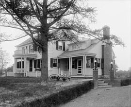 Calloway residence, back & side with tree & flower bed, Mamaroneck, N.Y., between 1900 and 1915. Creator: William H. Jackson.