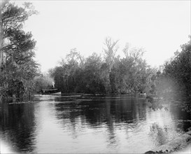 Junction of the Ocklawaha [sic] and Silver Springs rivers, Florida, 1902. Creator: Unknown.