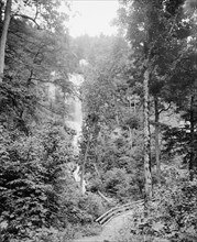 Kaaterskill Clove from Santa Cruz Falls, Catskill Mts., N.Y., between 1895 and 1910. Creator: Unknown.