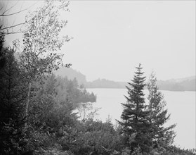 Lower Loon Lake, Adirondack Mts., N.Y., between 1900 and 1910. Creator: Unknown.
