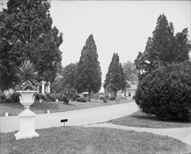 View in National Cemetery, Arlington, Va., between 1900 and 1910. Creator: Unknown.
