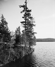 Lower St. Regis Lake, Adirondack Mts., N.Y., between 1900 and 1905. Creator: Unknown.