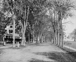 North Main Street, Dartmouth College, ca 1900. Creator: Unknown.