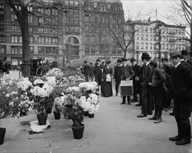 Flower vender's [sic] Easter display in Union Square Park, New York, between 1900 and 1910. Creator: Unknown.