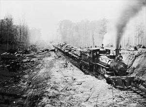 Logging railroad, Keystone Lumber Company, 1901 or 1902. Creator: Unknown.