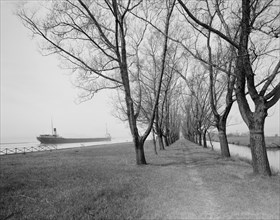 Willow Avenue, Star Island, Ste. Claire [sic] Flats, Mich., c.between 1910 and 1920. Creator: Unknown.