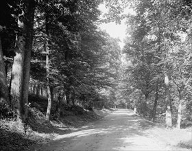 Sleepy Hollow road, Tarrytown, N.Y., c.between 1910 and 1920. Creator: Unknown.