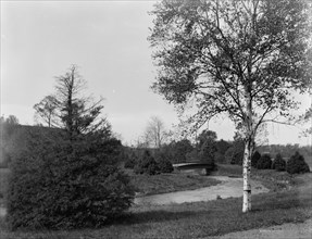 A Bit of Forest Park, Springfield, Mass., between 1910 and 1920. Creator: Unknown.