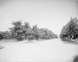 Devonshire Road, looking north, Walkerville, Ont., between 1905 and 1915. Creator: Unknown.