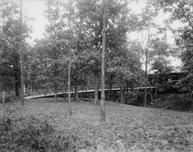 Picnic grounds at Lemont, Ill's., between 1900 and 1905. Creator: Unknown.