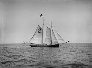 Pilot boat no. 2, between 1900 and 1905. Creator: Unknown.