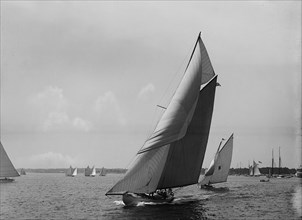 Kestrel, 1899 July 4. Creator: John S Johnston.