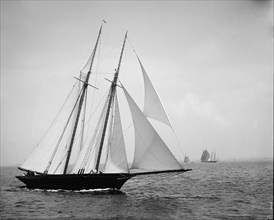Sea Fox, between 1890 and 1900. Creator: John S Johnston.