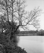 The White River, Riverside Park, Indianapolis, Ind., between 1900 and 1910. Creator: Unknown.