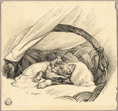 Cat Asleep in Basket, n.d. Creator: Auguste-Andre Lancon.
