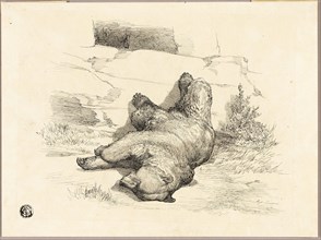 Russian Bear, n.d. Creator: Auguste-Andre Lancon.